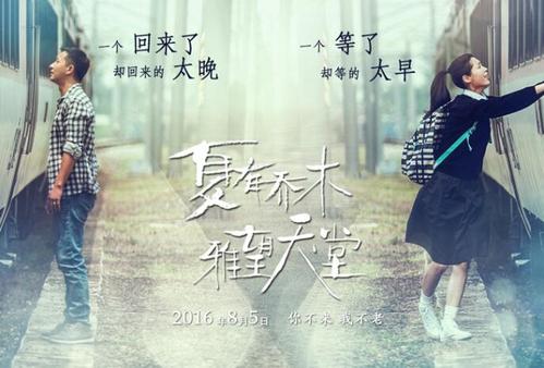乌尔比诺大学Diploma in Marketing